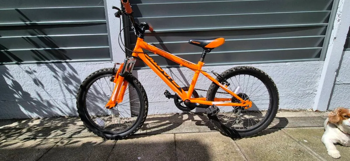 Kids Bike 20"