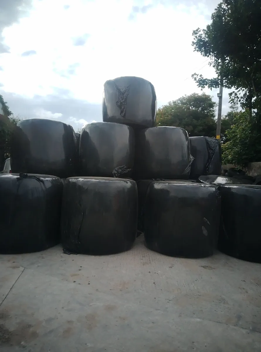 Silage Bales
