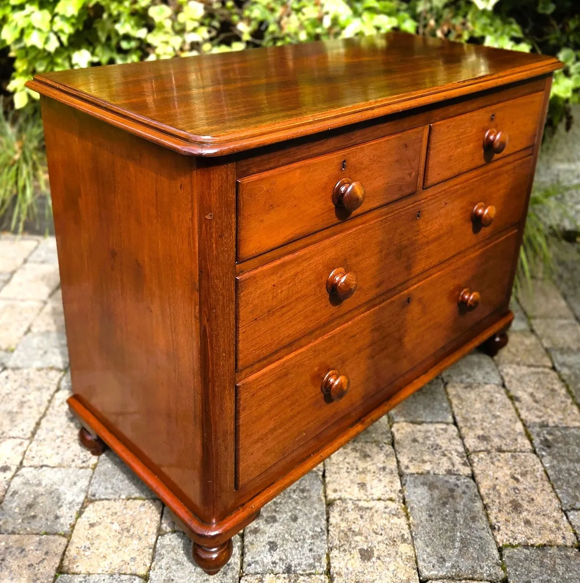 Victorian Mahogany Chest- Circa 1870 - Image 4