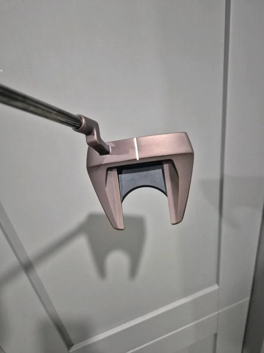 Taylormade Spider Tour F - Image 2