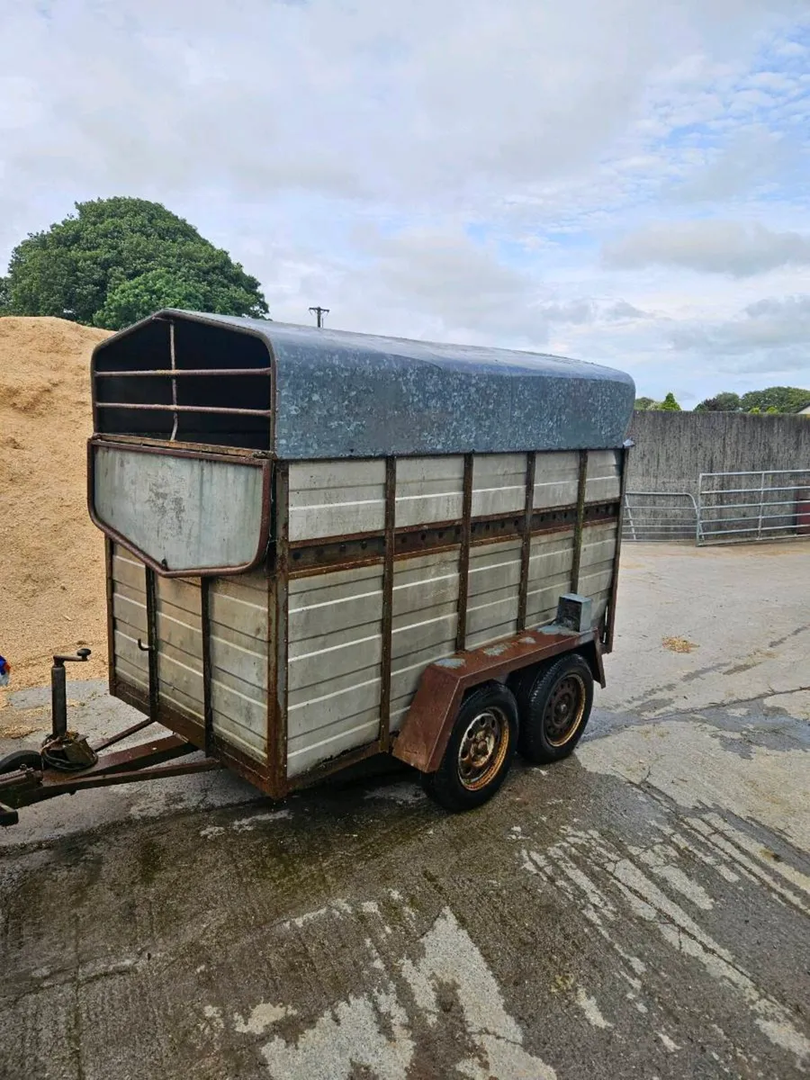 8x4 livestock trailer - Image 1