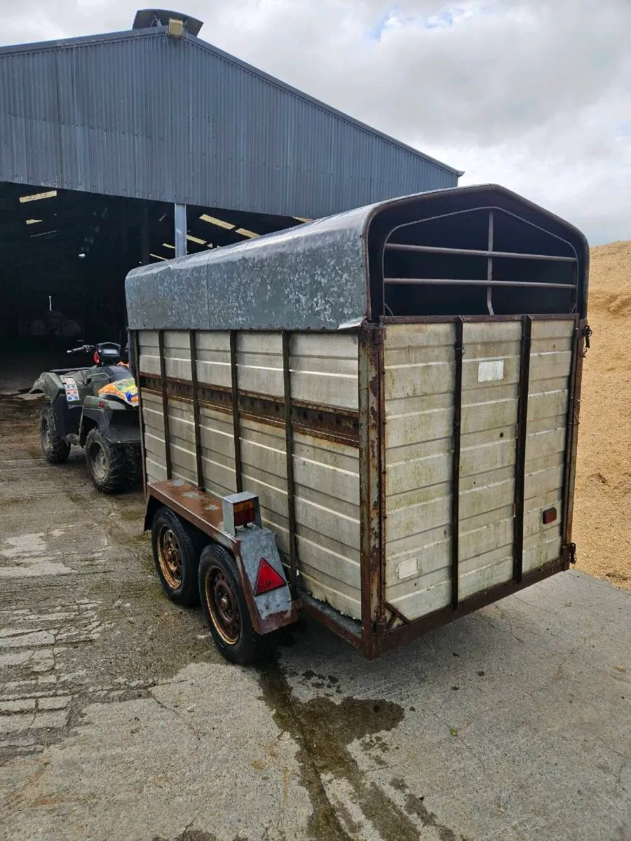 8x4 livestock trailer - Image 2