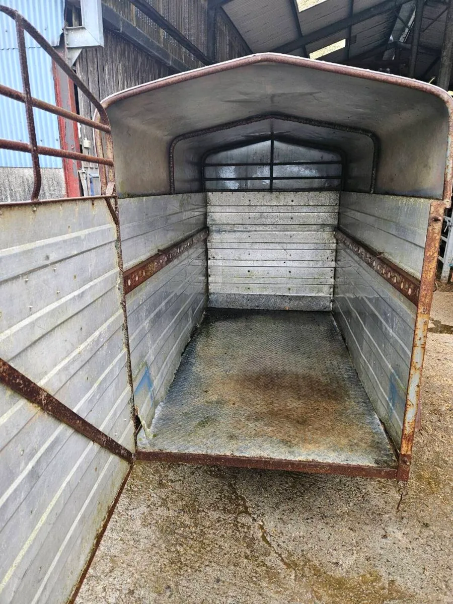 8x4 livestock trailer - Image 3
