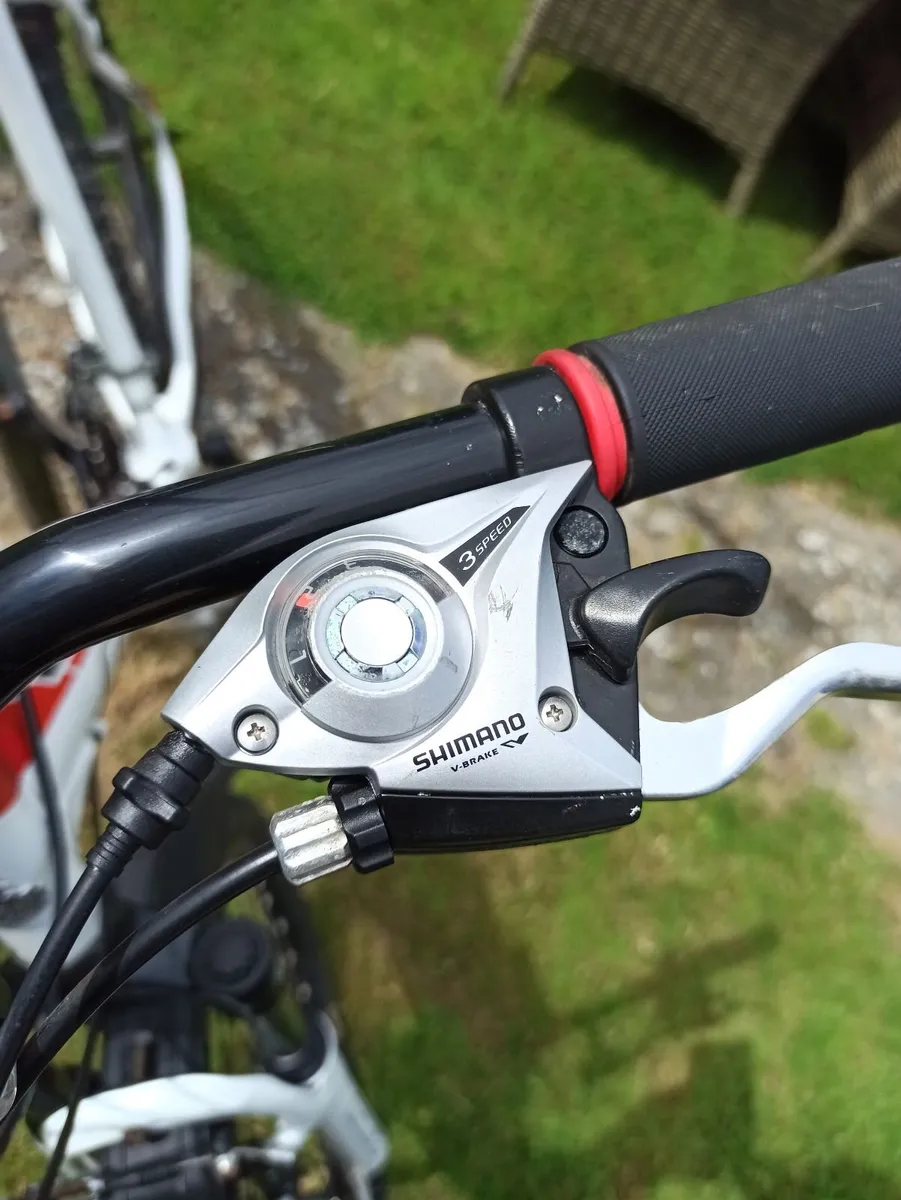 Mens Raleigh Mountain Bike - Image 2