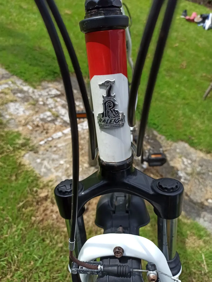 Mens Raleigh Mountain Bike - Image 1