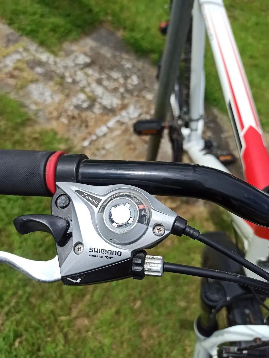 Mens Raleigh Mountain Bike - Image 3
