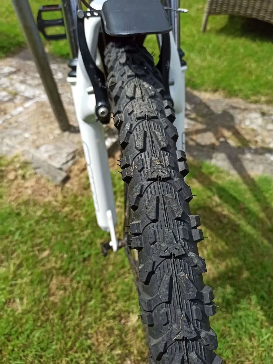 Mens Raleigh Mountain Bike - Image 4