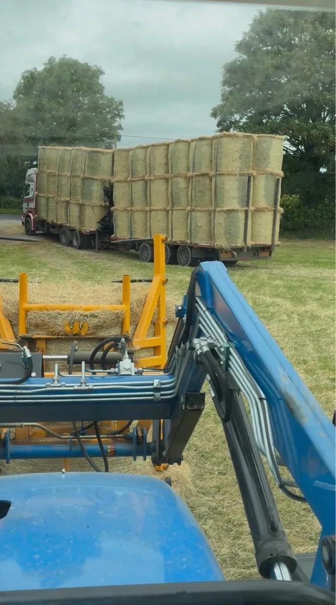 Hay for sale - Image 1