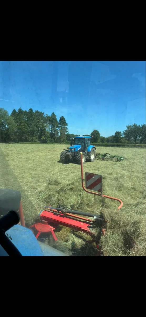 Hay for sale - Image 2