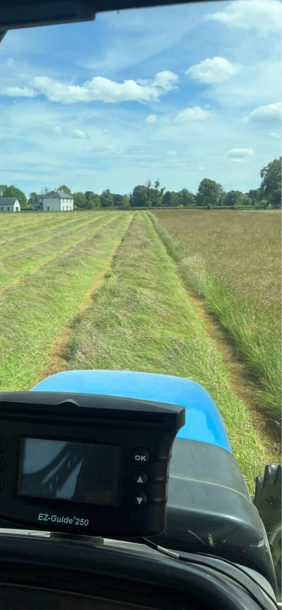 Hay for sale - Image 3