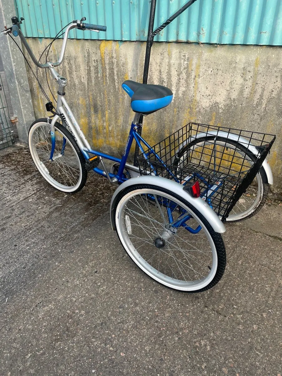 Adults trike with gears and large basket - Image 3