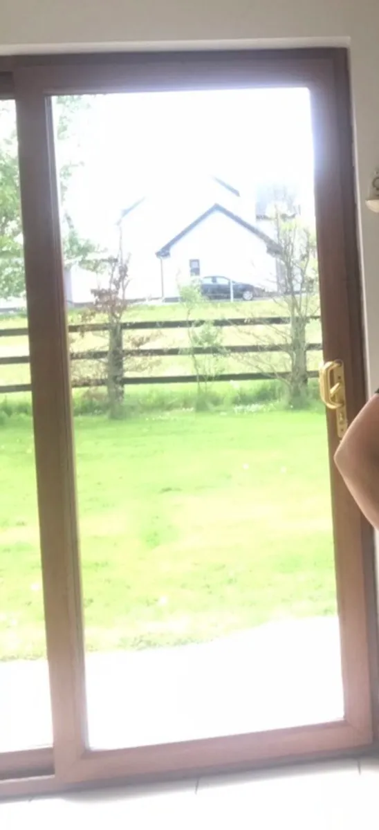 Patio door and interior door - Image 2