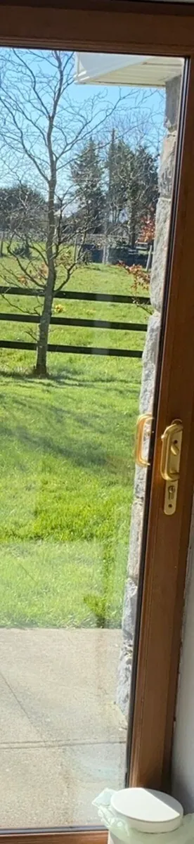 Patio door and interior door - Image 3