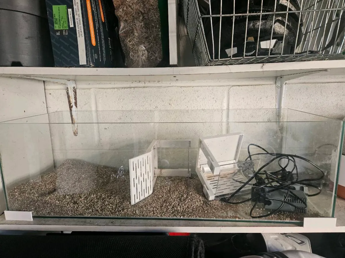 120L Terrapin Tank - Image 1