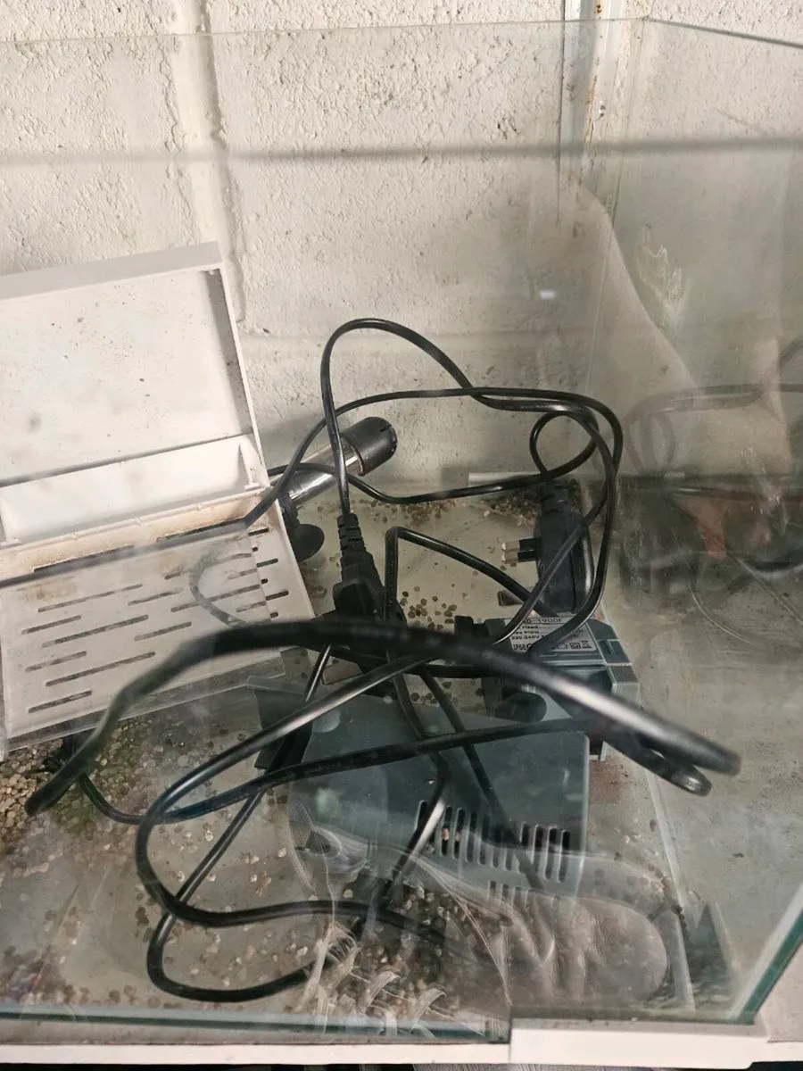 120L Terrapin Tank - Image 2