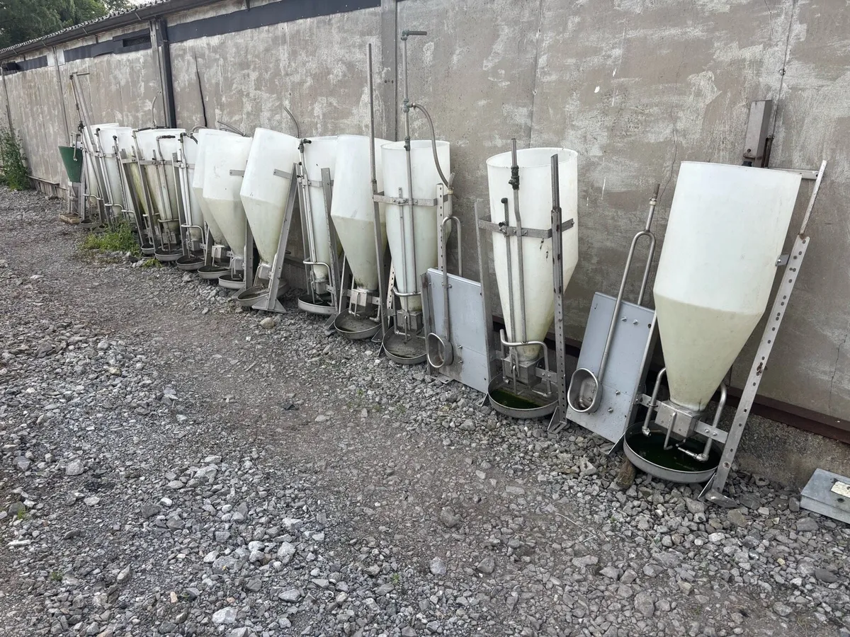 Pig Feeders Big Dutchman - Image 1