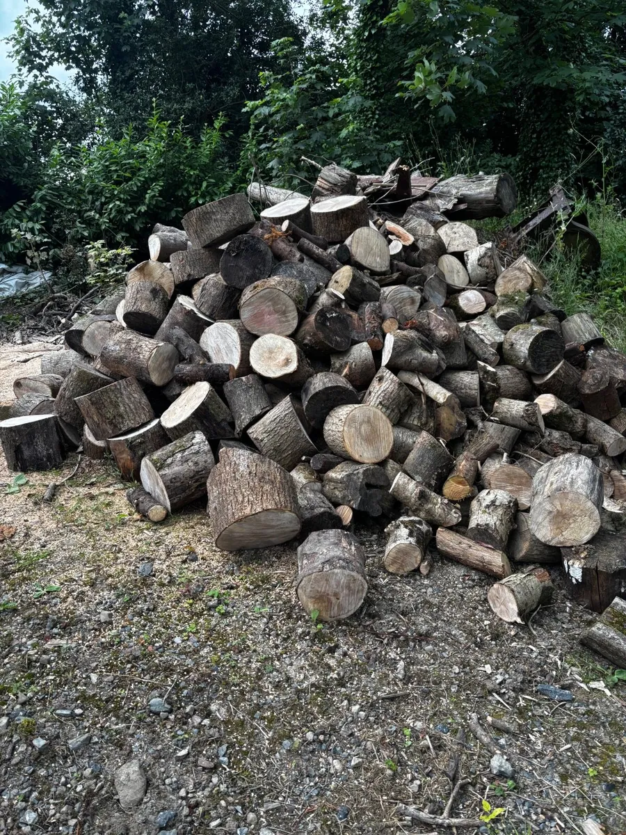 Firewood - Image 1