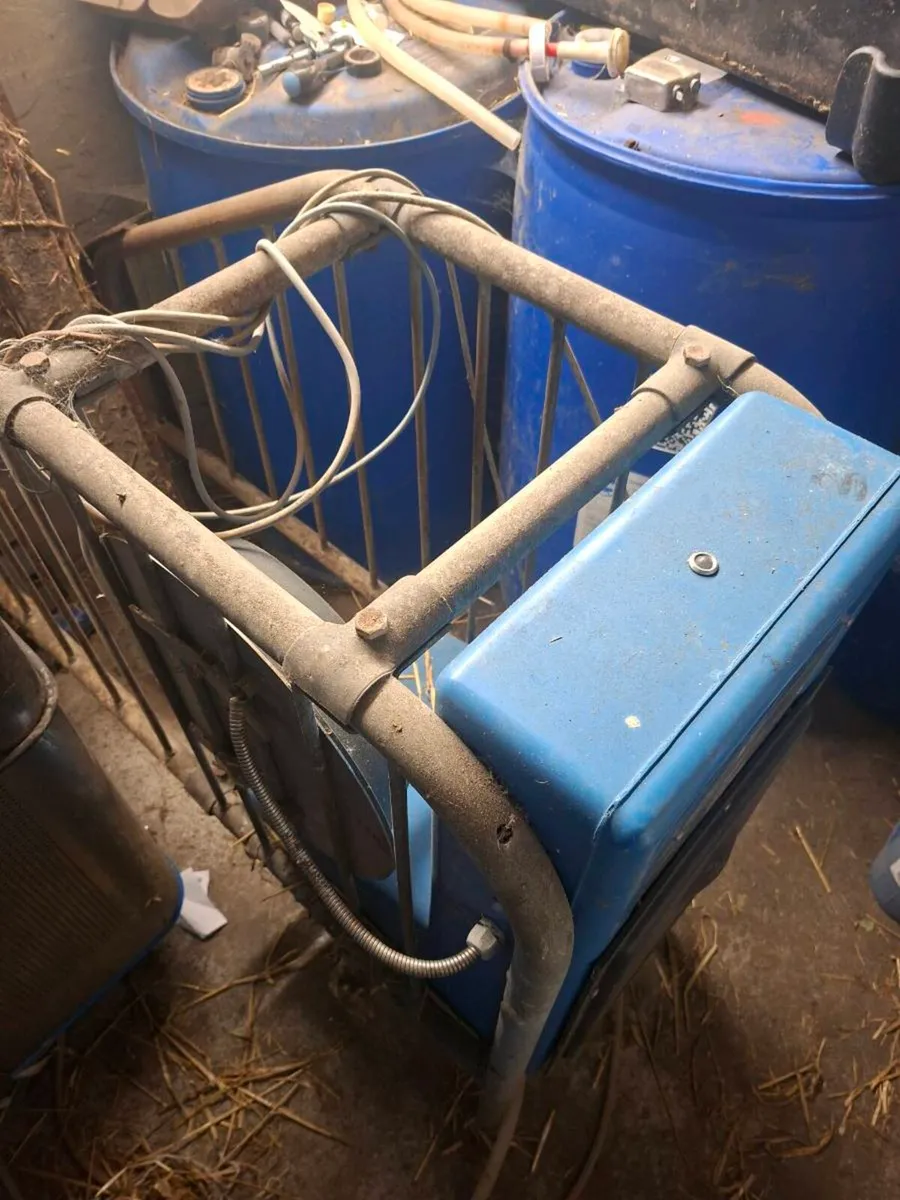 Dairy Master Automatic Calf Feeder - Image 2