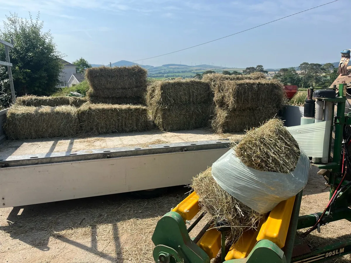Small Square Bales of Haylage - Image 2