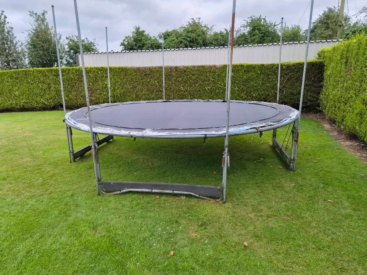 Trampoline - Image 2