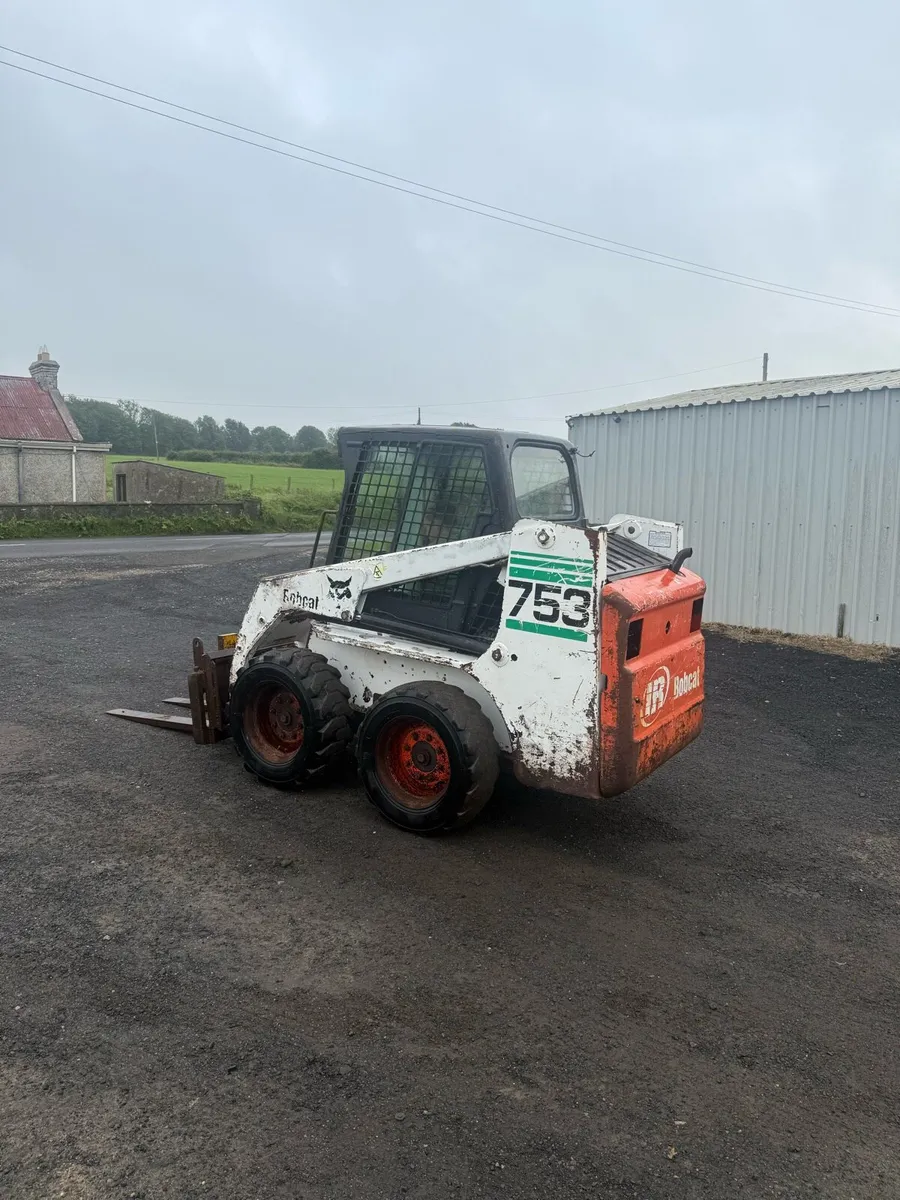 Bobcat - Image 2