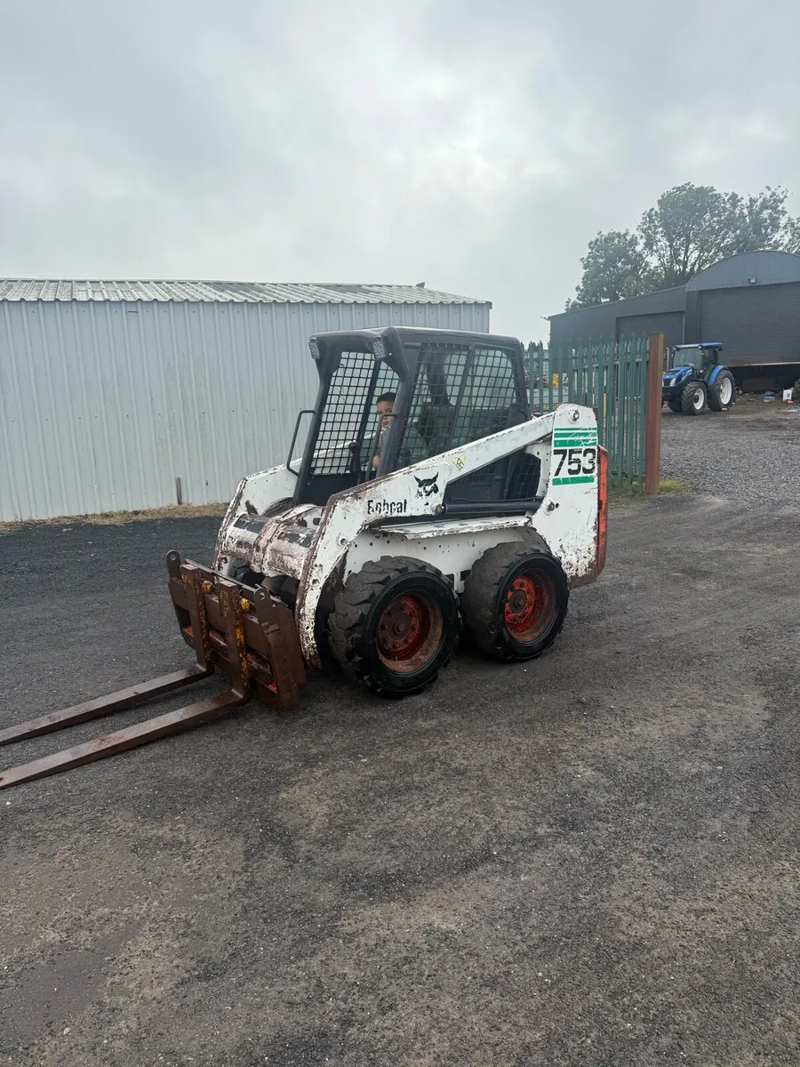 Bobcat - Image 1