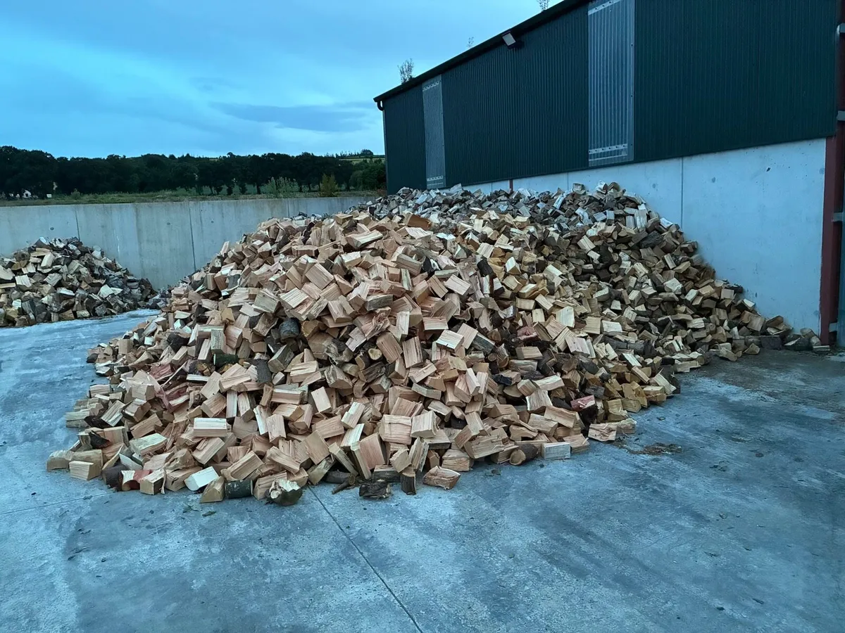 Firewood timber - Image 2
