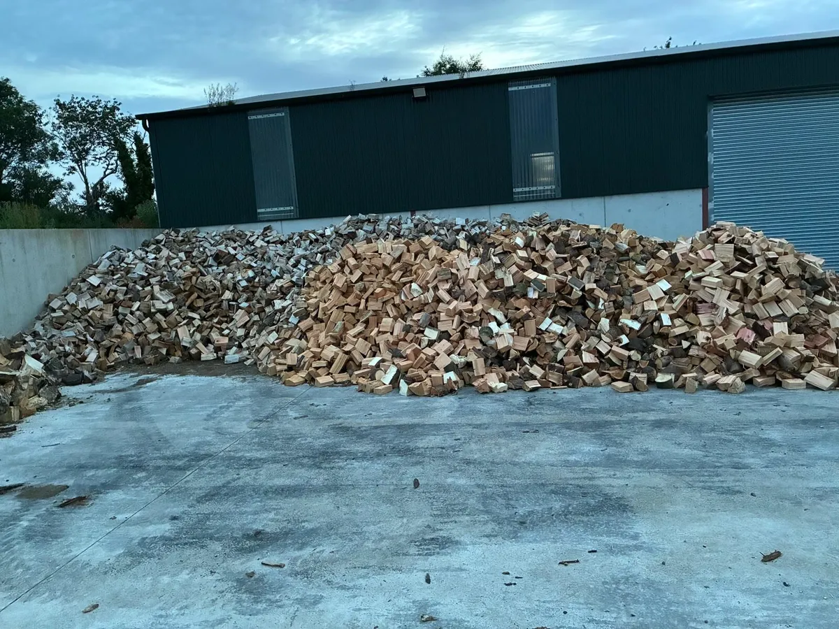 Firewood timber - Image 1