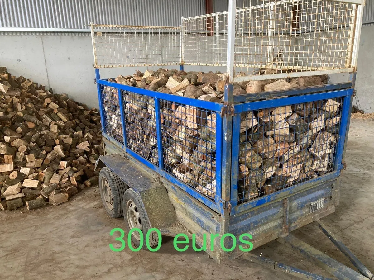 Firewood timber - Image 3