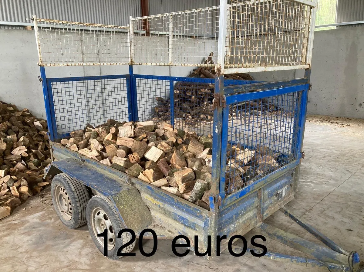 Firewood timber - Image 4