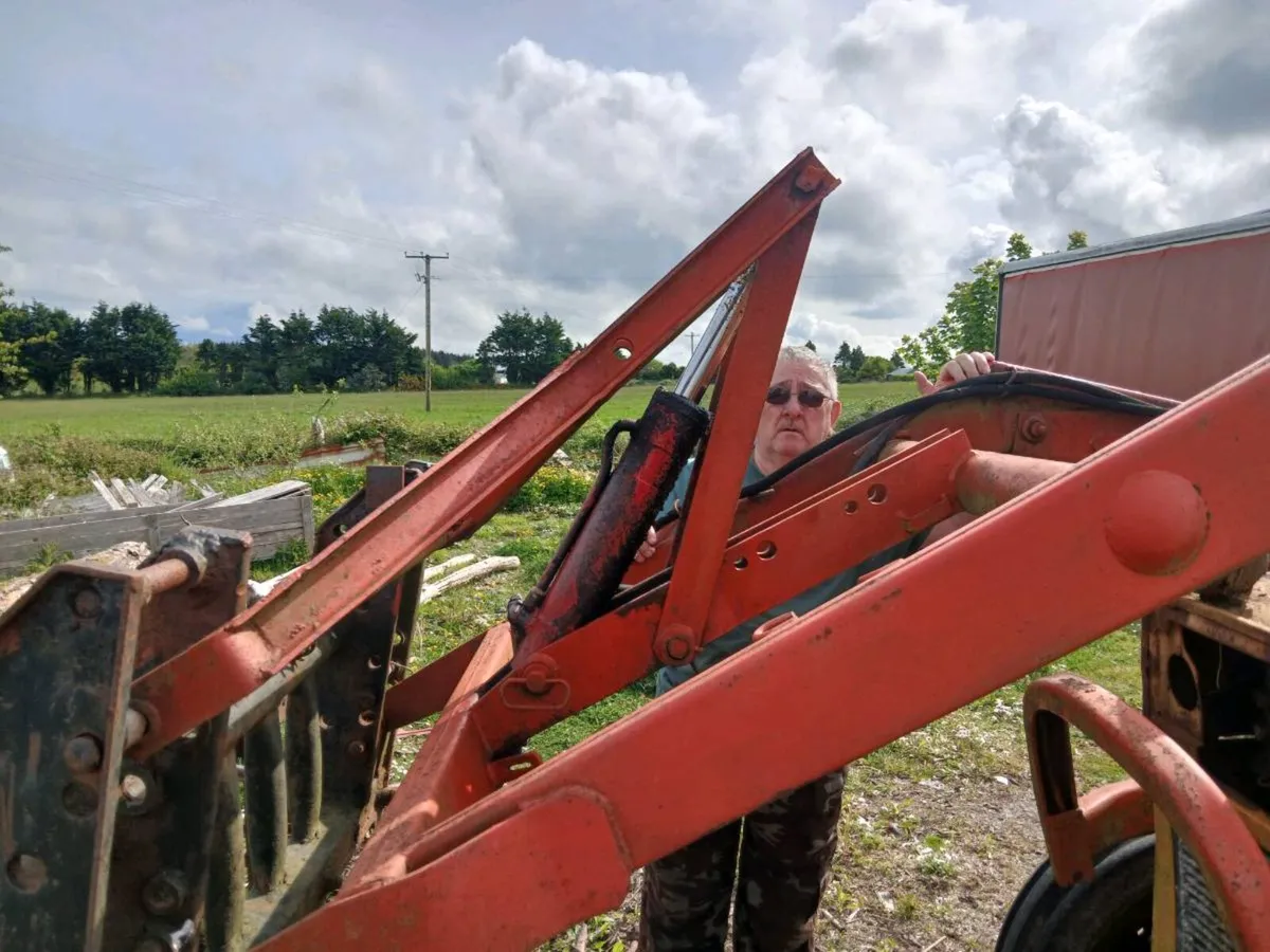 Universal 445 tractor - Image 2