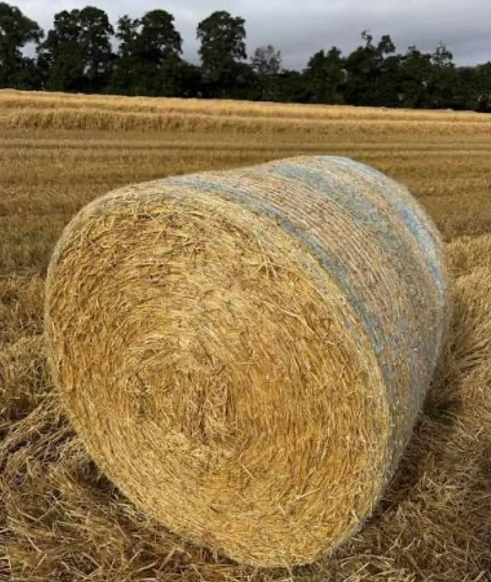 Round bales of barley straw wanted!!