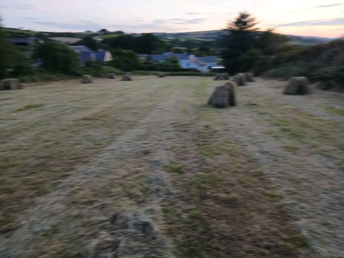 Small bales of hay. - Image 3