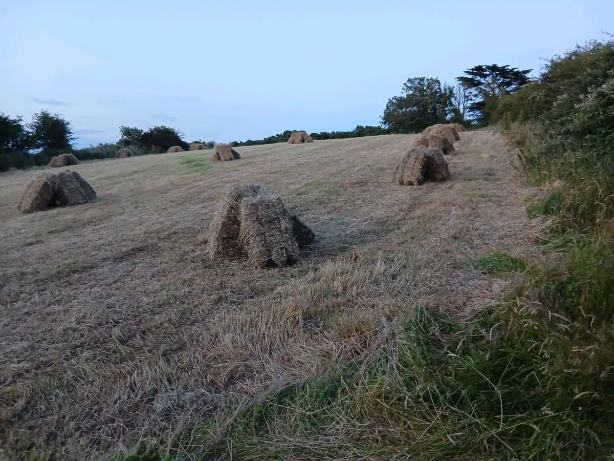 Small bales of hay. - Image 4