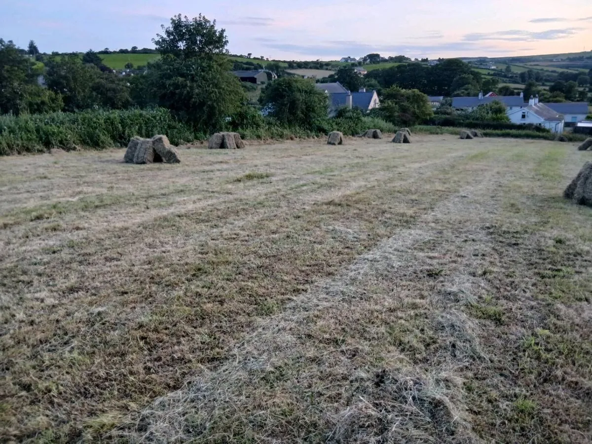 Small bales of hay. - Image 2