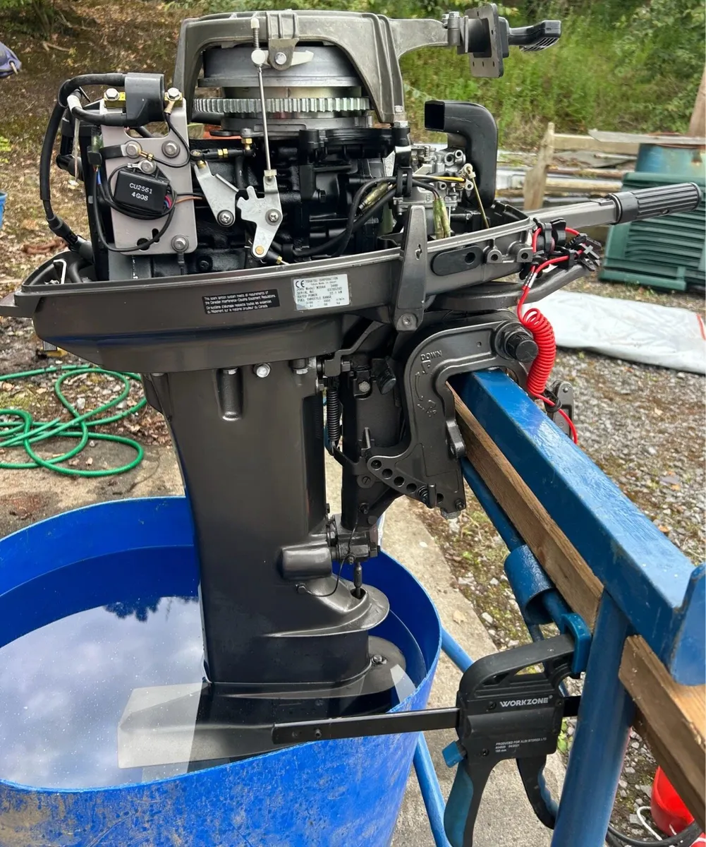 Fiberglass 5.30m  Launch with 30hp and trailer - Image 4