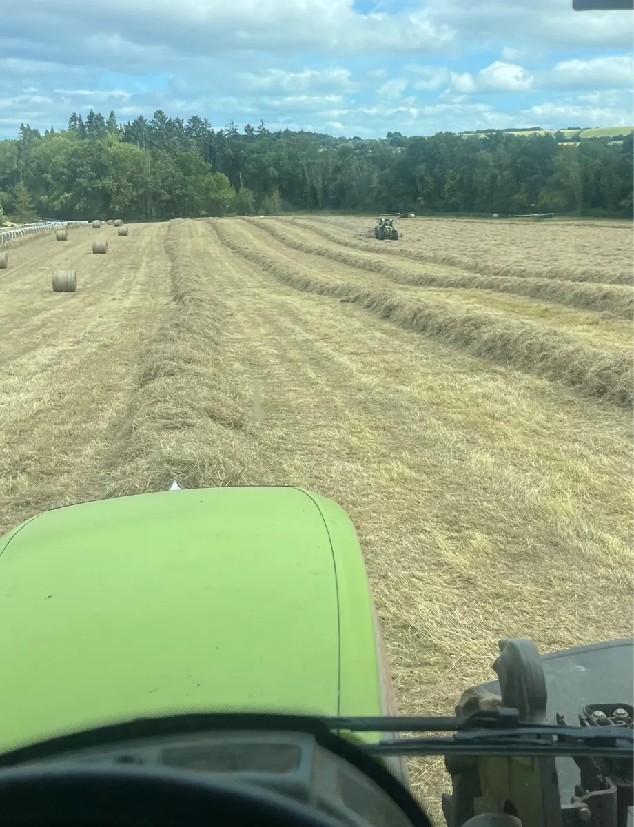 Hay for sale