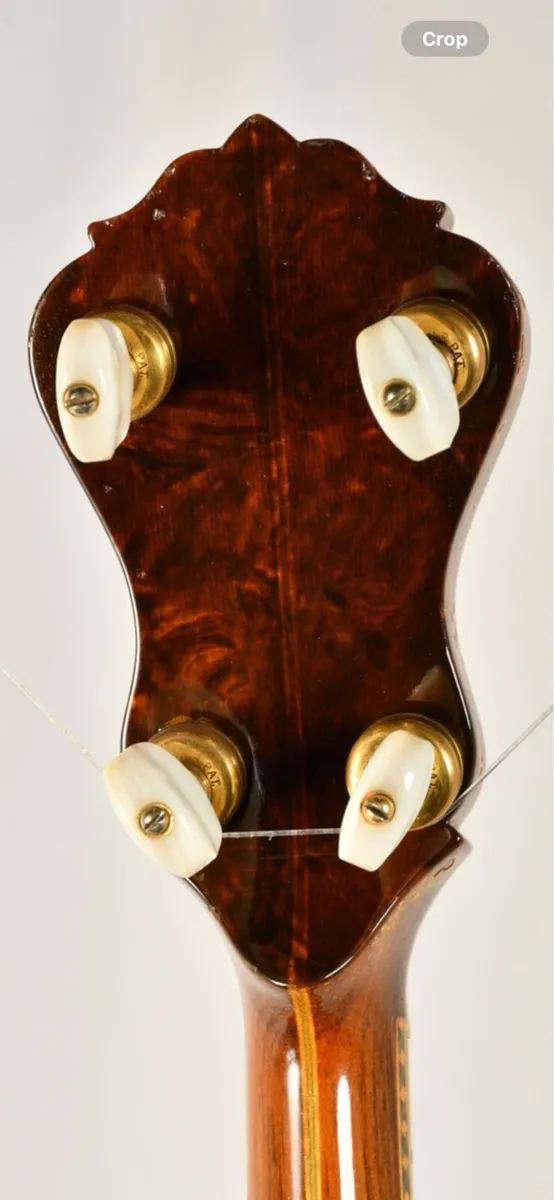 Epiphone Bandmaster Plectrum Deluxe - Image 3