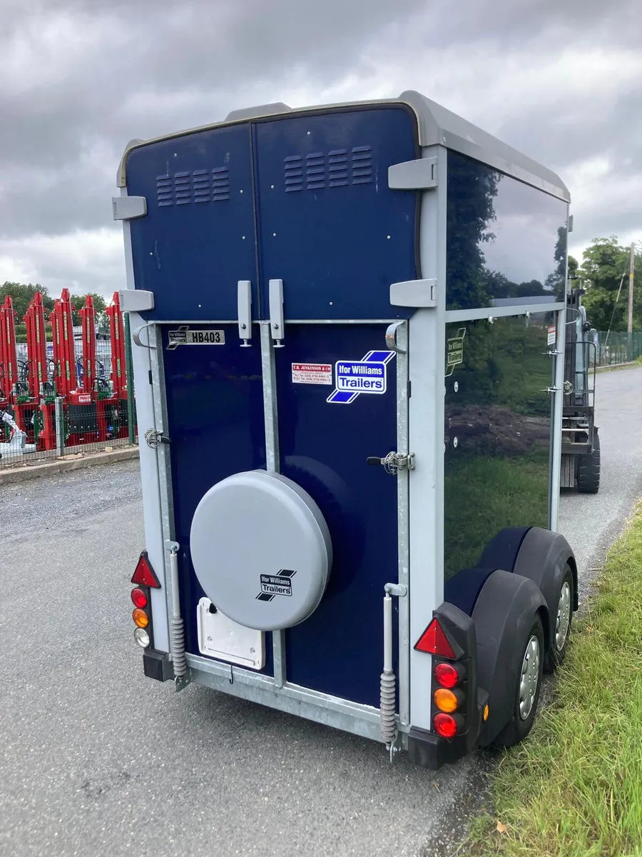 2019 Ifor Williams HB403 Single Horsebox NO VAT - Image 3