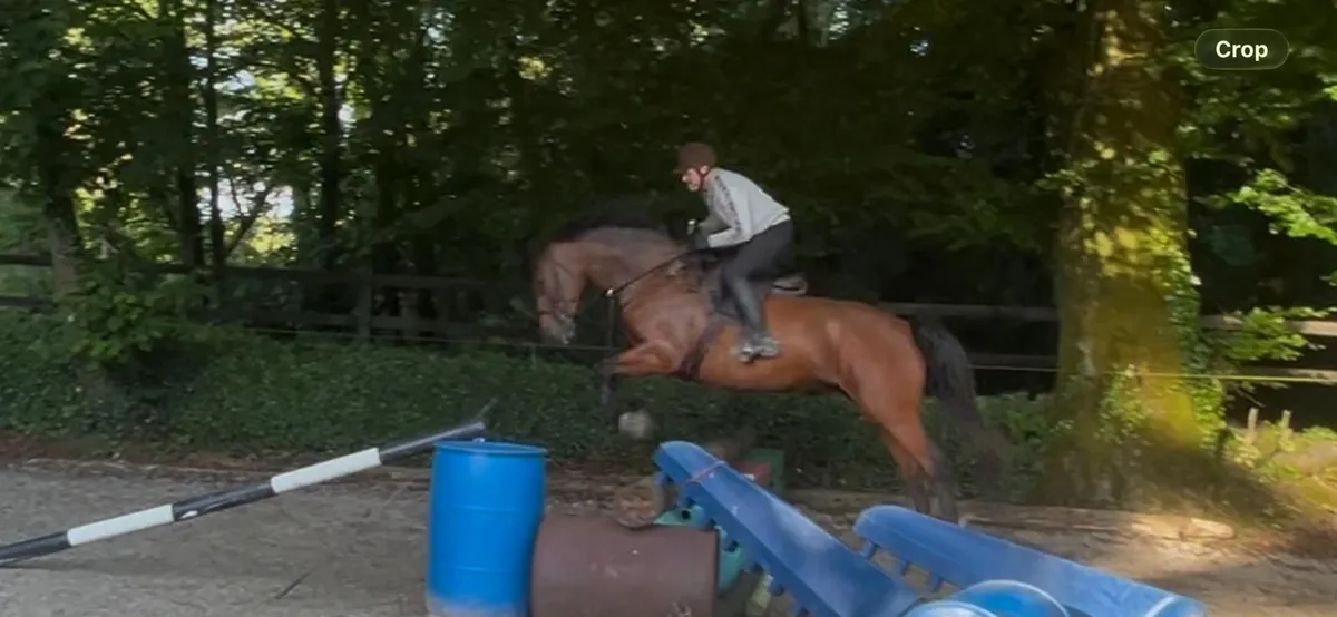Hunting Horse - Image 2