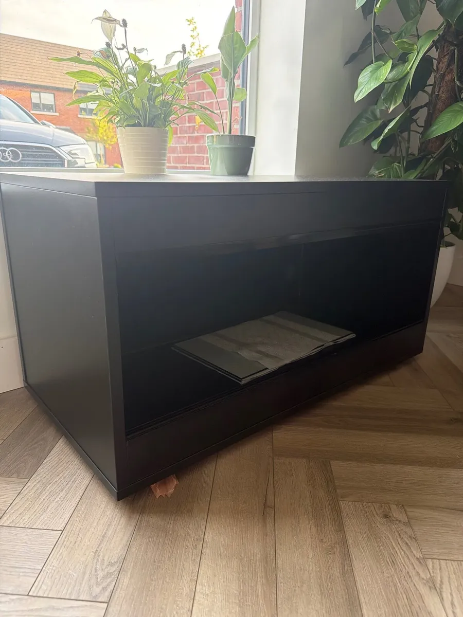 Reptile Vivarium