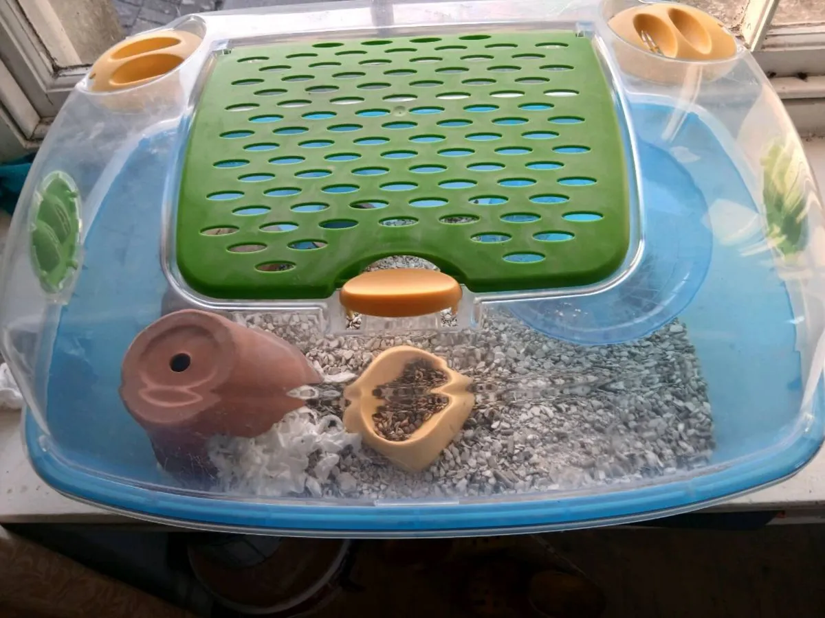 Hamster and hamster house - Image 2