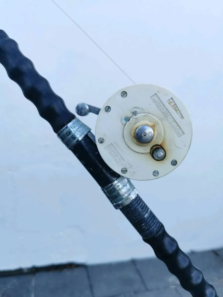 Fishing rods - Image 3