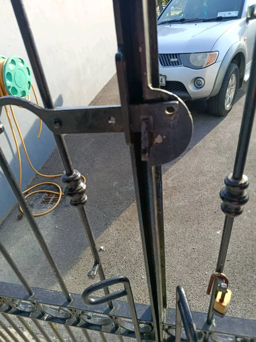 Garden gates - Image 4