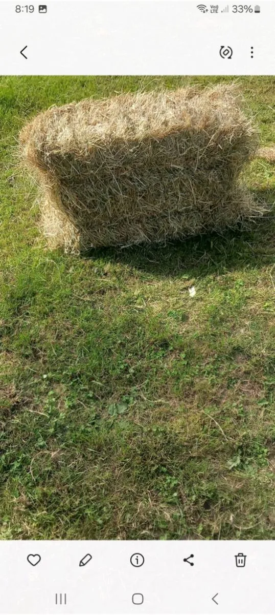 Small square bales of hay - Image 3