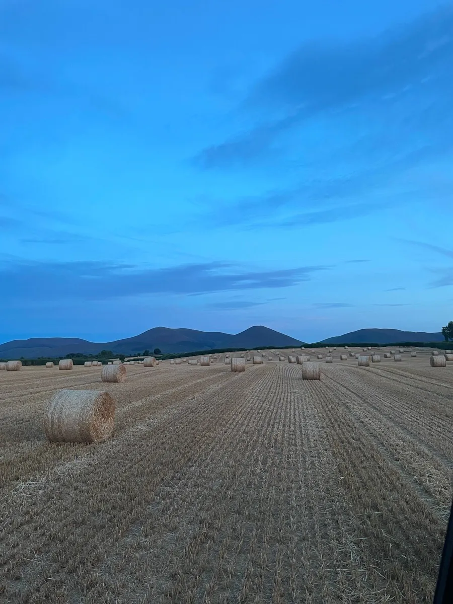 2026 Barley straw