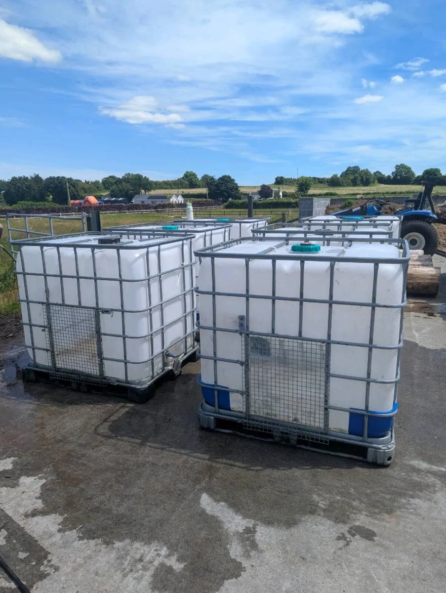 IBC tank- Poultry/Pig/Calf/Goat/Dog Houses - Image 4