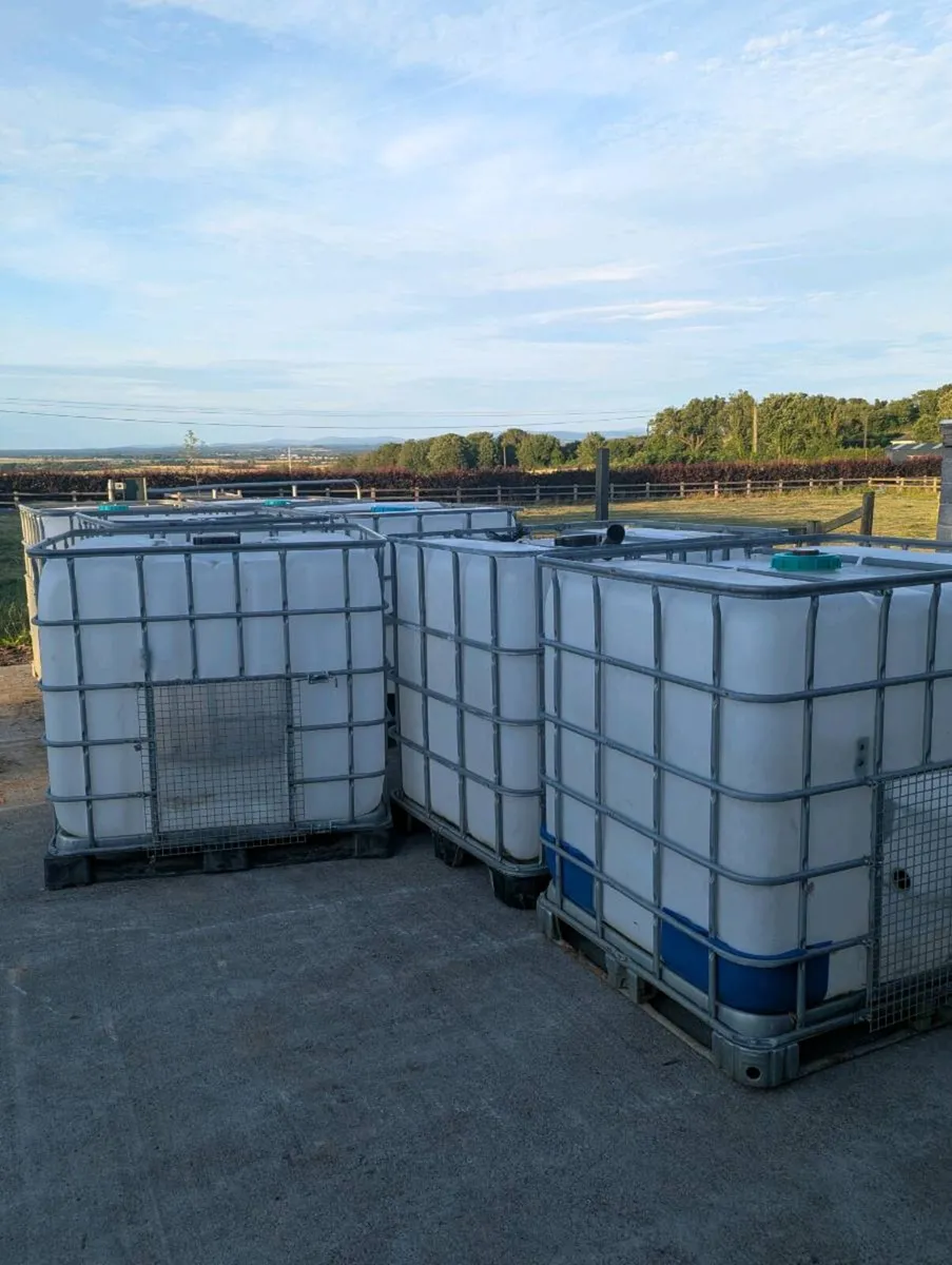 IBC tank- Poultry/Pig/Calf/Goat/Dog Houses - Image 2