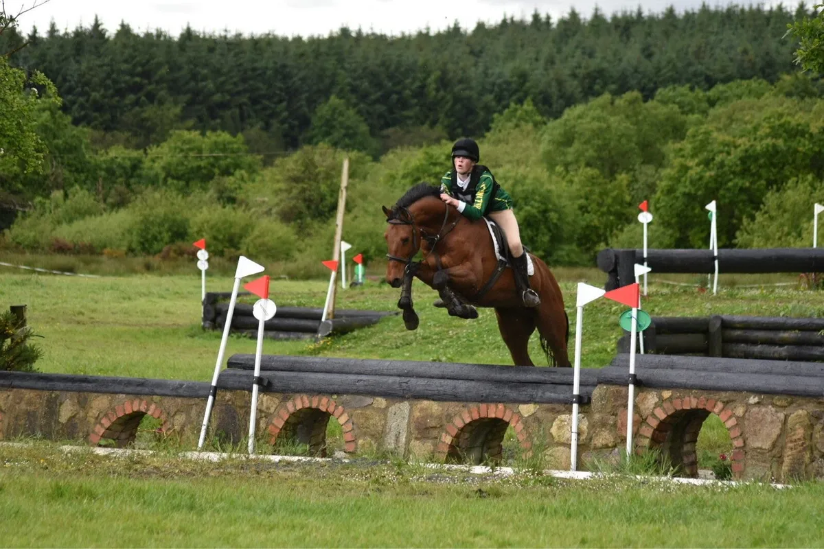 Lot 377 Goresbridge - Image 3
