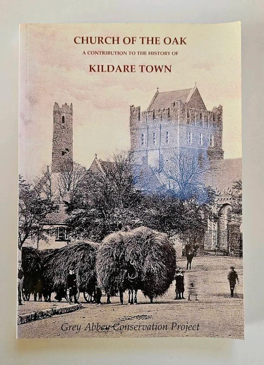 The Church of the Oak - Kildare History Book - Image 1